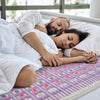 Image of HealthyLine The TAJ Bed Series