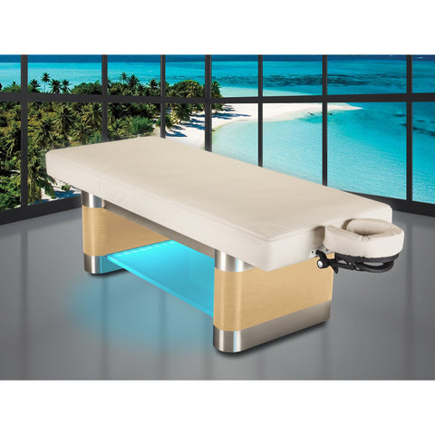 Living Earth Crafts Nuage Vector Treatment Table - Salon Fancy