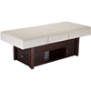 Image of Living Earth Crafts Pro Salon Kensington Multi-Purpose Hydraulic Treatment Table - Salon Fancy