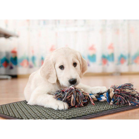 HealthyLine Pet Mat T Medium 3220 Firm - PEMF Inframat Pro® Pet-3220-P