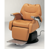 Image of Takara Belmont LEGEND Electric Barber Chair BB-LGF0 - Salon Fancy