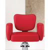 Image of Takara Belmont BELLUS Styling Chair ST-U30 - Salon Fancy