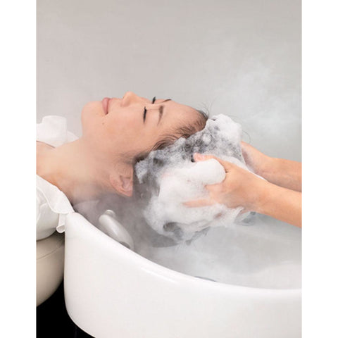 Takara Belmont SPA MIST II Processor SD-160 - Salon Fancy