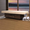 Image of Living Earth Crafts Century City Dual-Pedestal Low-Range Treatment Table with Digital Warming Drawer - Salon Fancy